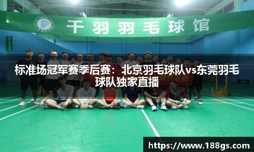 标准场冠军赛季后赛：北京羽毛球队vs东莞羽毛球队独家直播