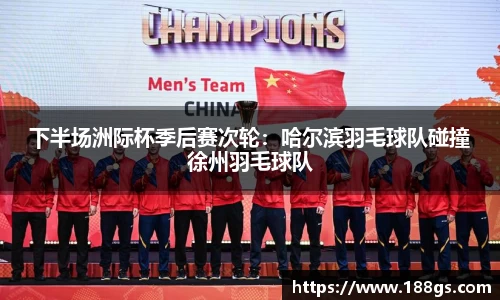 下半场洲际杯季后赛次轮：哈尔滨羽毛球队碰撞徐州羽毛球队